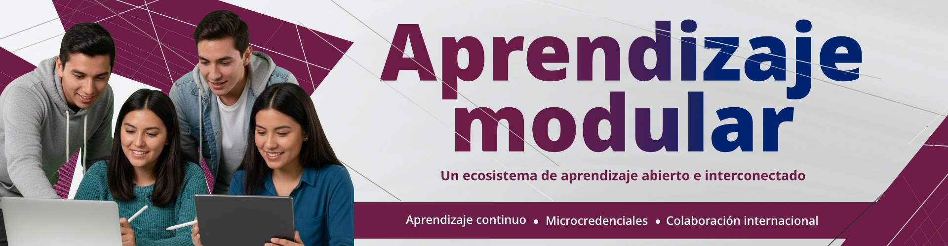 Banner Aprendizaje Modular